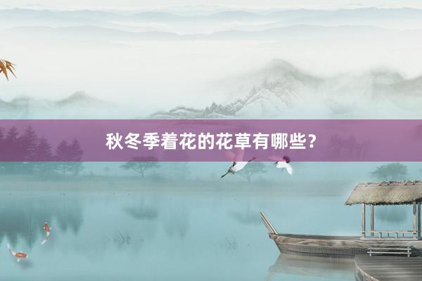秋冬季着花的花草有哪些？